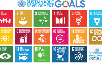 Top 10 Learning Resources for Global Sustainable Development Goals (SDGs) during Covid19 – Education and Development Solutions